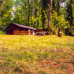 1999, one more time, me and Spike, old Cabin